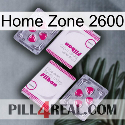 Home Zone 2600 33